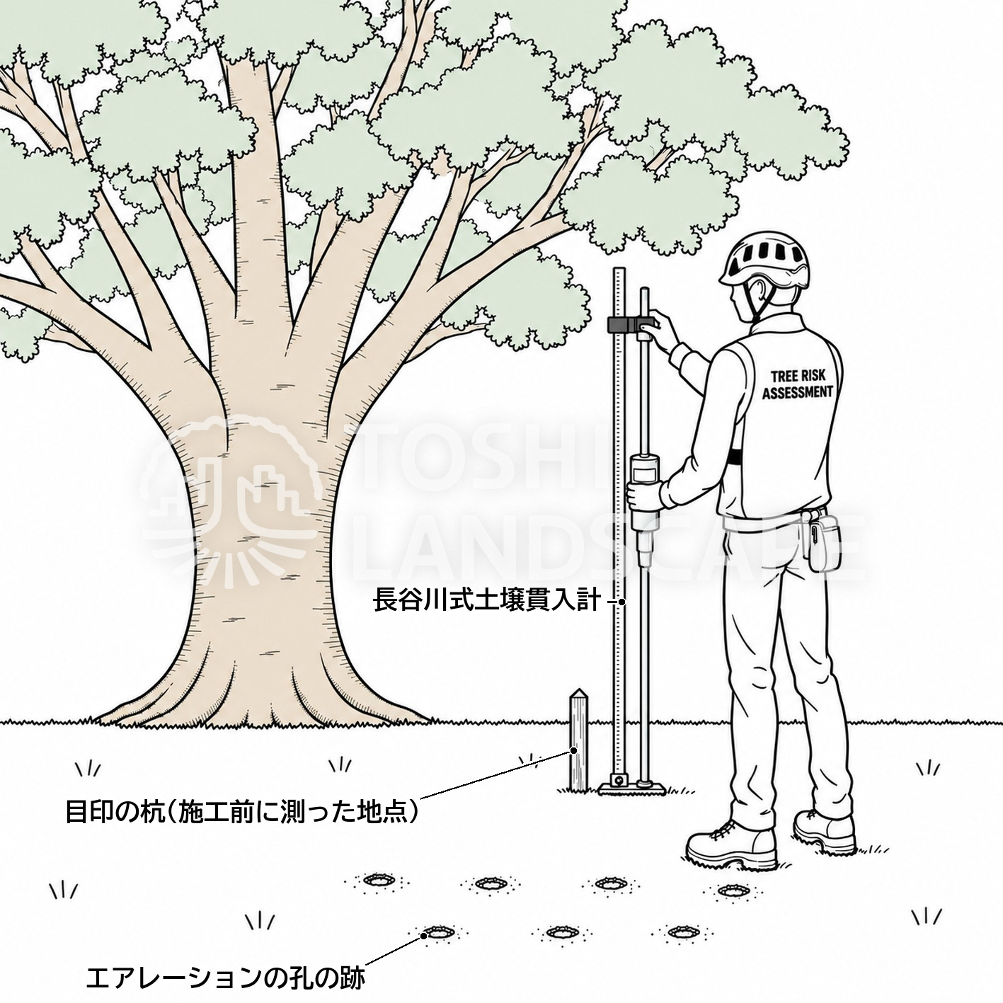 土壌改良 効果 確認 長谷川式土壌貫入計 再測定 樹木医 イラスト