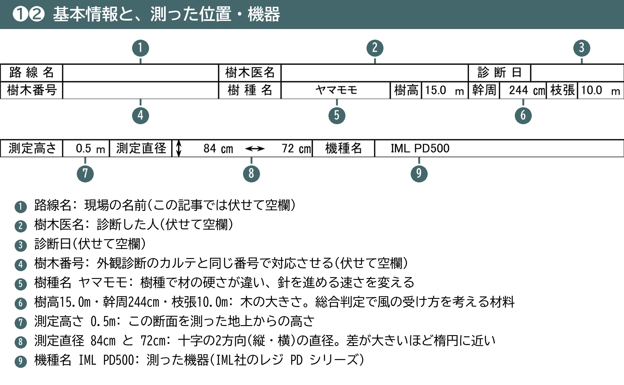 レジ 診断カルテ 基本情報 樹種 樹高 幹周 枝張 測定高さ 測定直径 機種名
