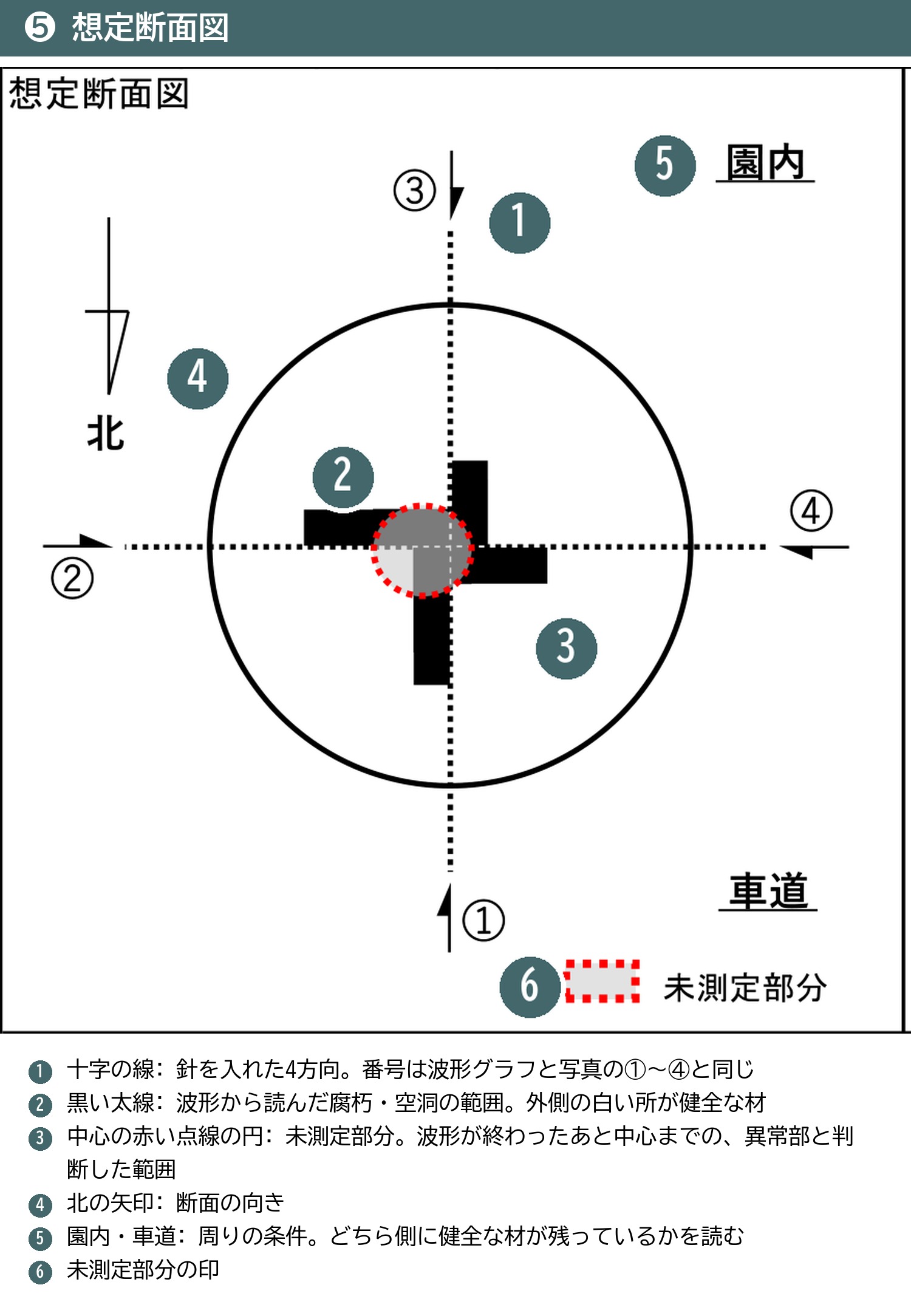想定断面図 レジ 腐朽 空洞 太線 未測定部分 園内 車道 方位