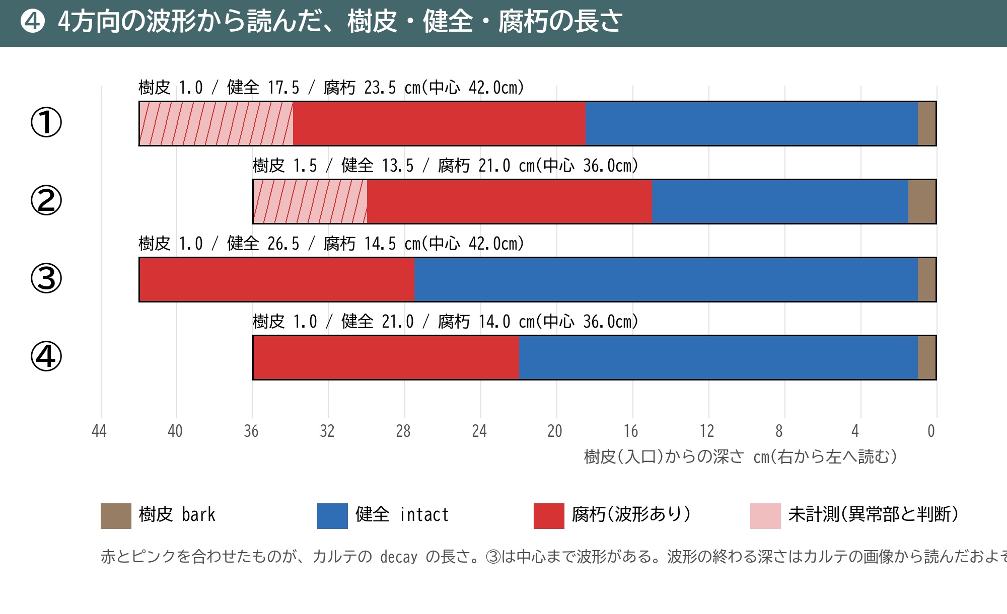 レジ 4方向 波形 読み取り 樹皮 健全 腐朽 未計測 長さ 比較