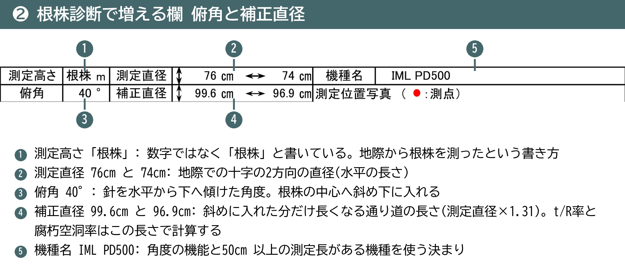 根株診断カルテ 測定高さ 測定直径 俯角 補正直径 機種名 欄
