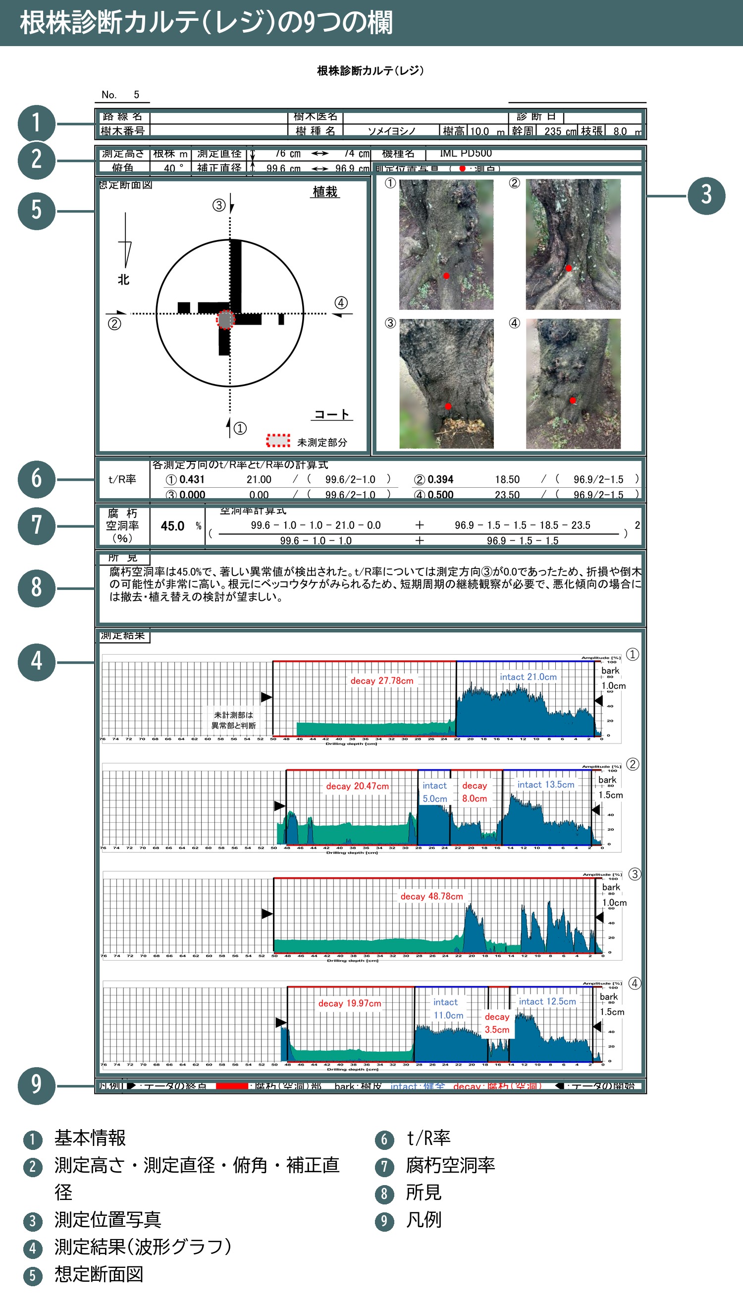 根株診断カルテ レジ 見取り図 9つの欄 俯角 補正直径 未測定部分
