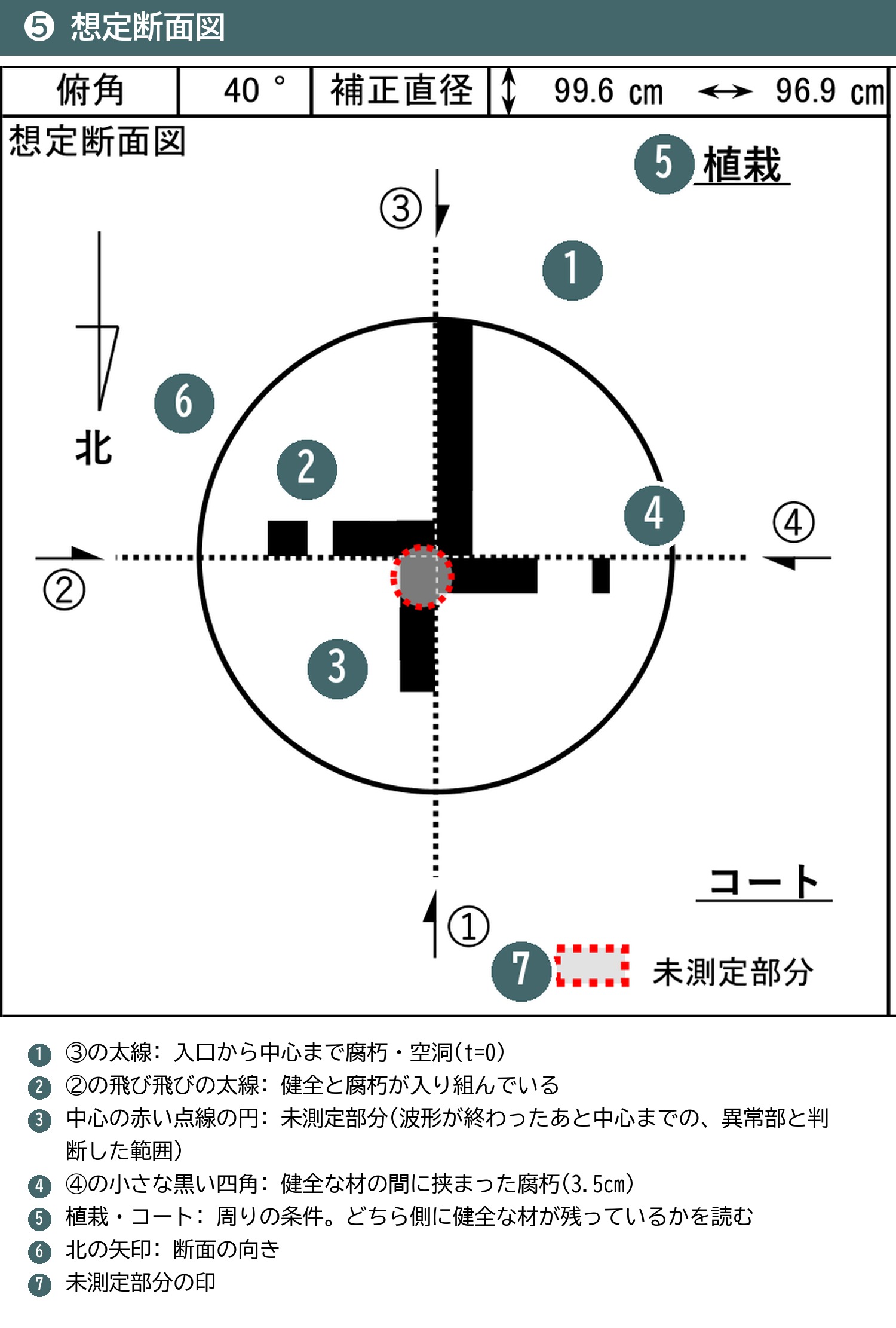 根株診断 想定断面図 未測定部分 赤い点線 異常部 植栽 コート 方位