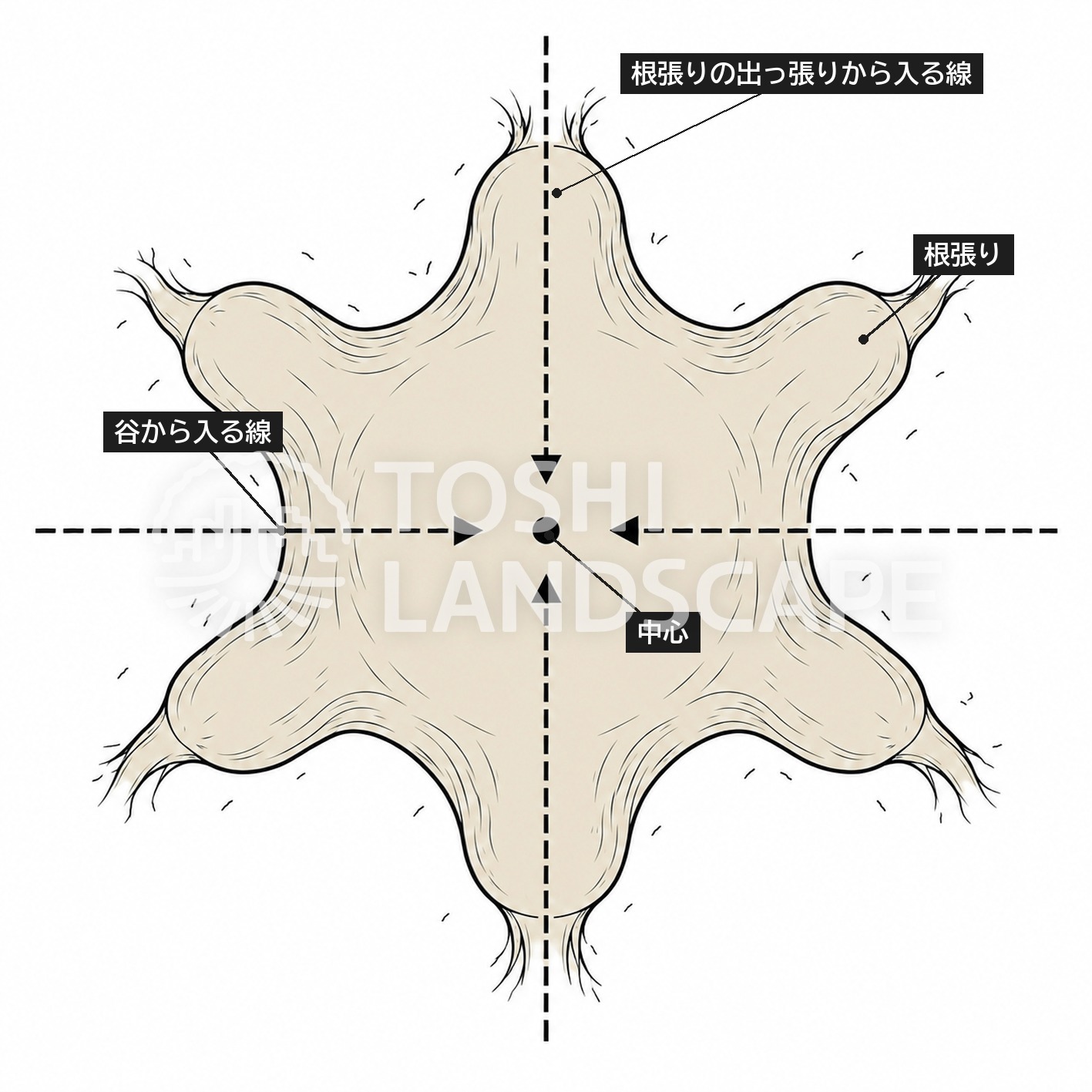 根株診断 4方向 測定線 根張り 谷 上から見た図 レジ
