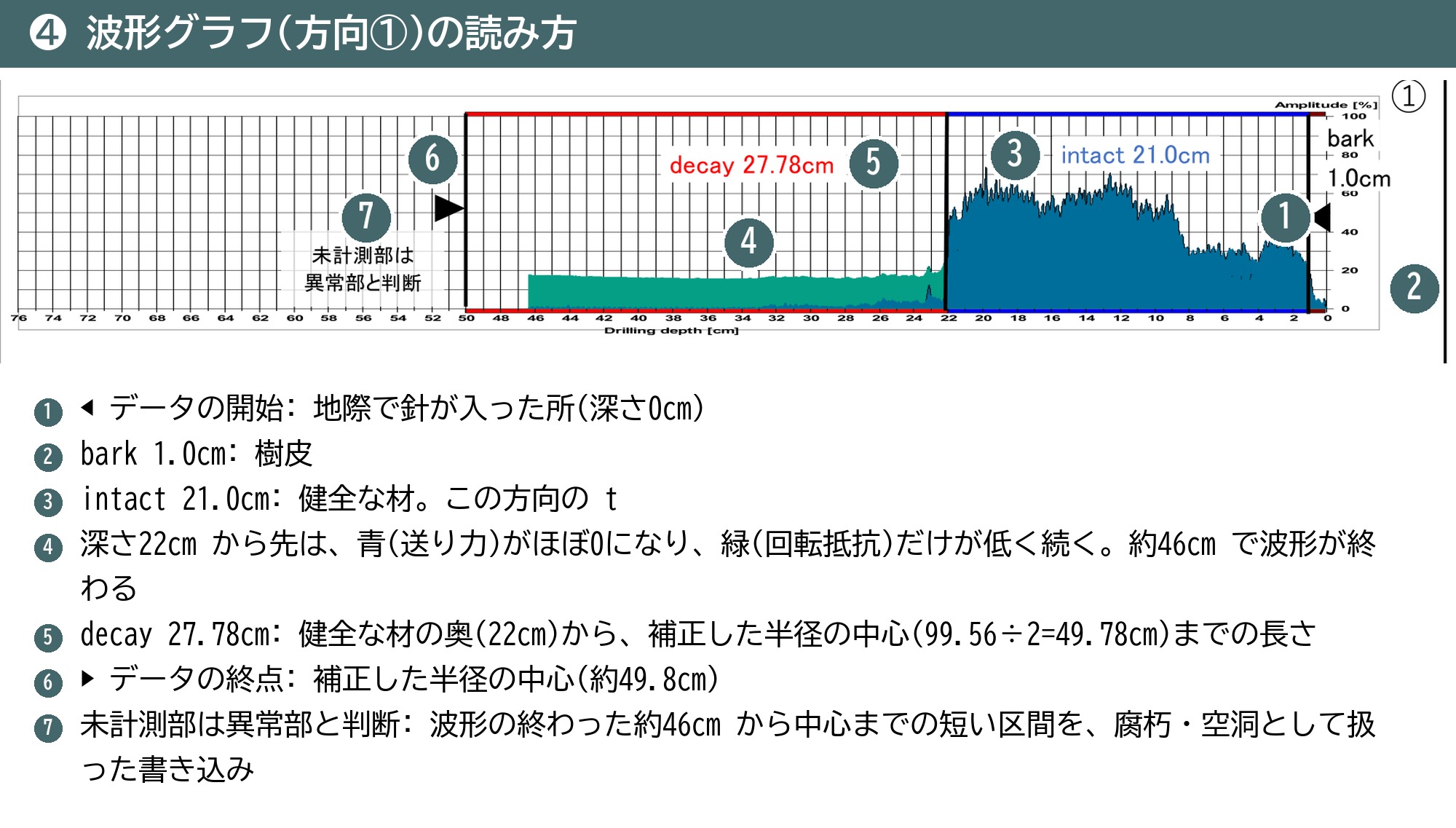 根株診断 波形グラフ 未計測部 異常部と判断 データの終点 decay intact bark