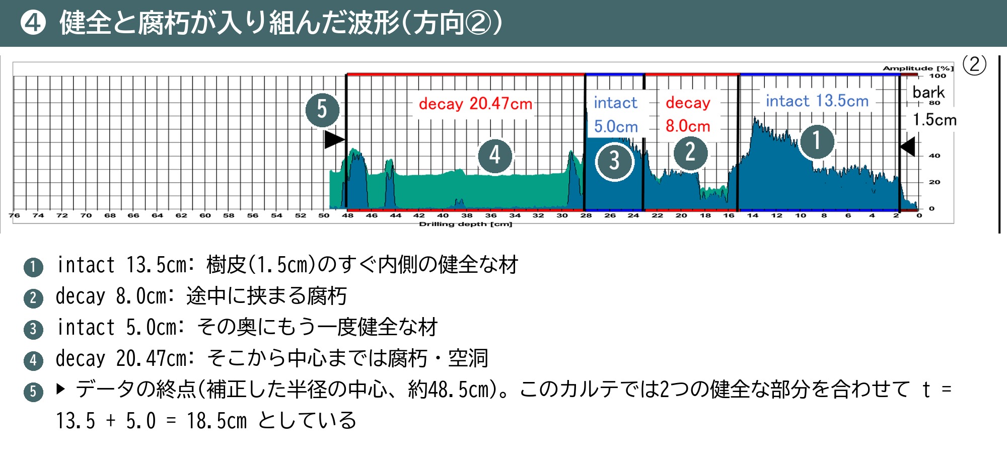 根株診断 波形 健全 腐朽 入り組む intact decay 方向2