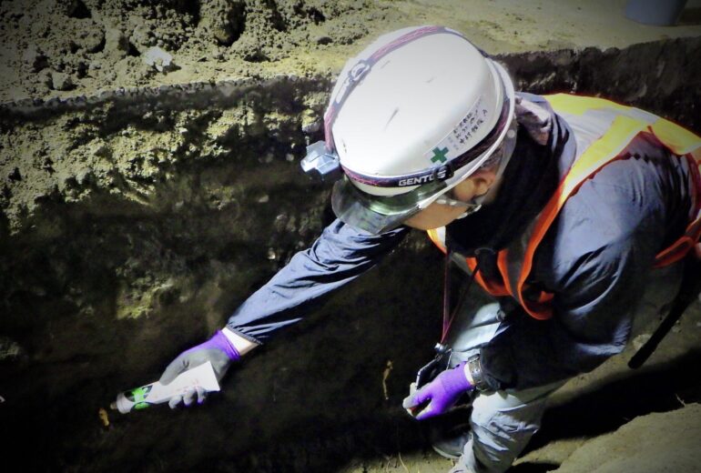 夜間 掘削溝 根の切り口 処置 樹木医 掘削工事立会い