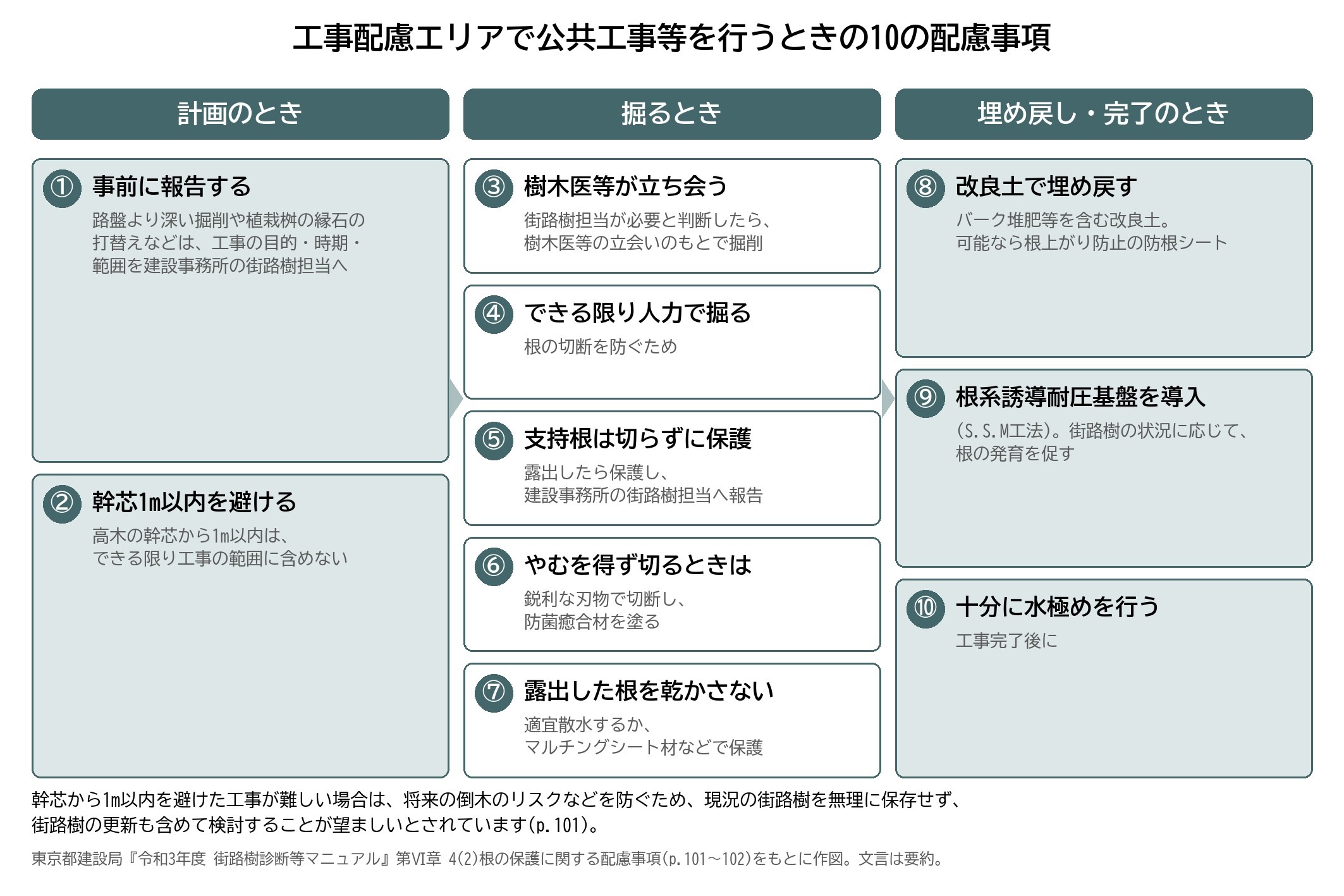 街路樹 根の保護 配慮事項 事前報告 樹木医 立会い 人力施工 防菌癒合材 埋め戻し 水極め