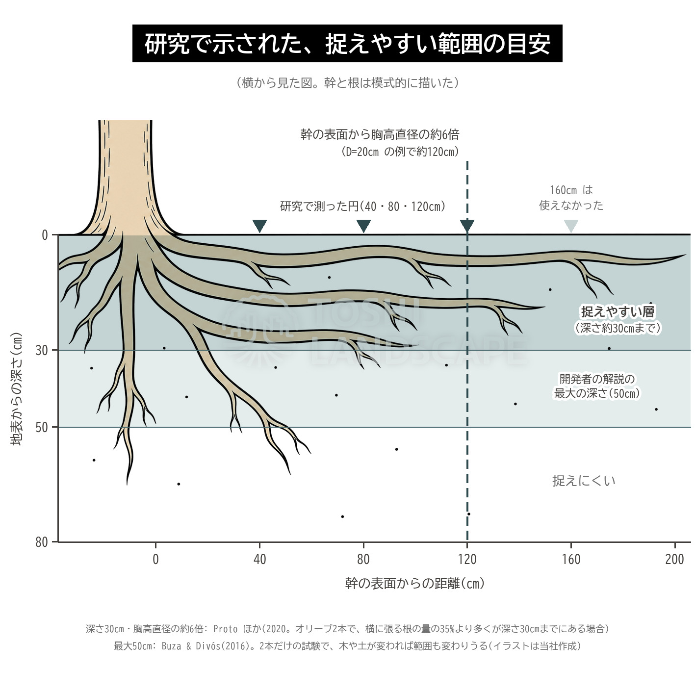 ルートディテクター 捉えやすい範囲 深さ30cm 50cm 幹からの距離 胸高直径の6倍 研究 横から見た図