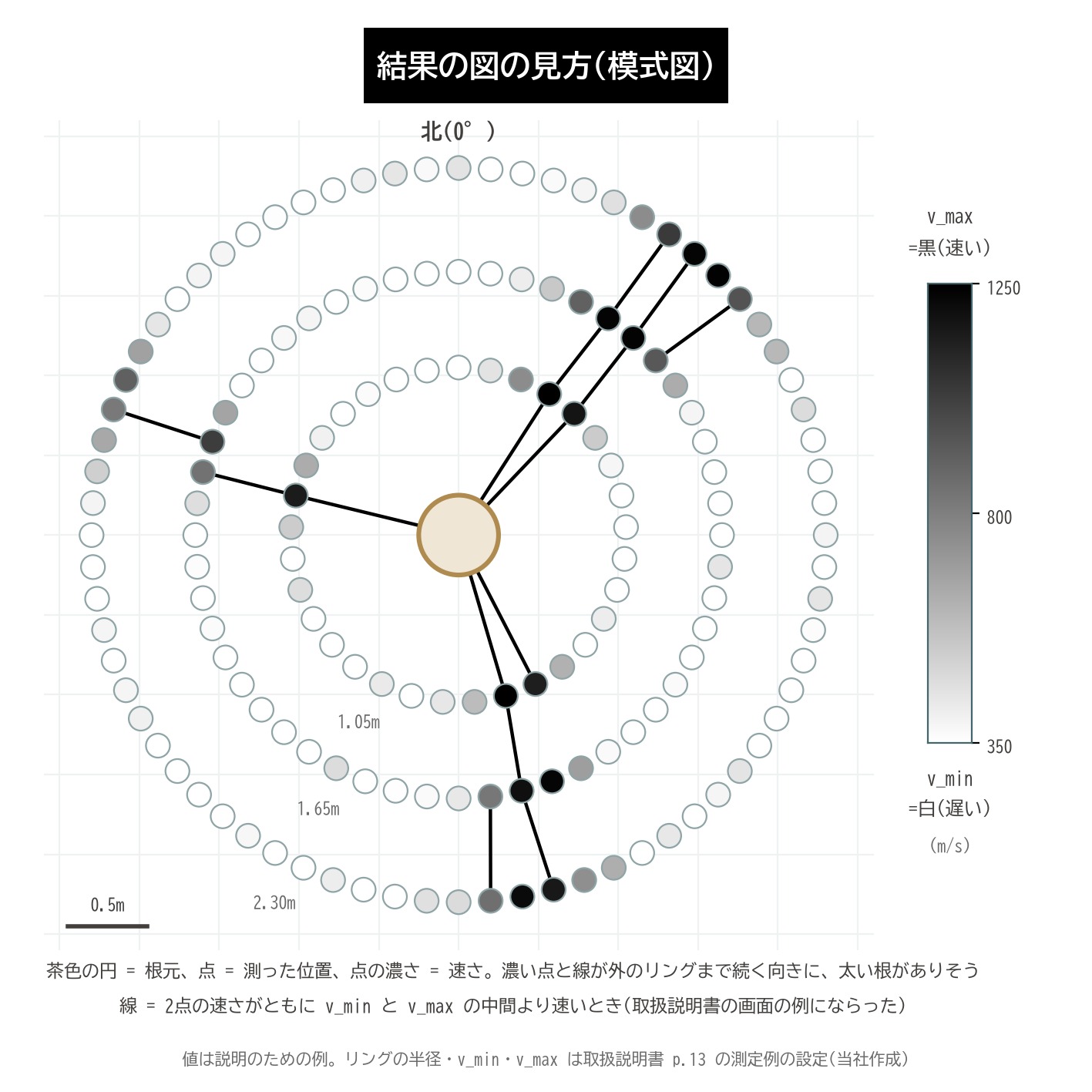 ルートディテクター 結果 根の地図 濃淡 3本のリング 太い根の向き 模式図