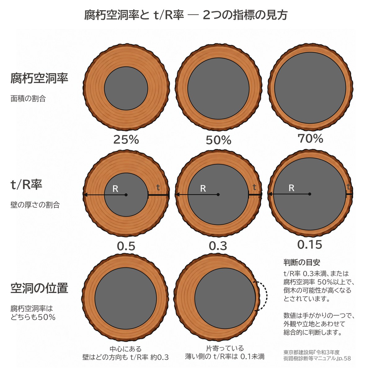 腐朽空洞率 t/R率 見方 樹木診断 倒木 判断の目安