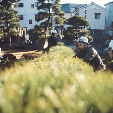 守破離 植木屋 樹木医 剪定 松の手入れ 職人 型