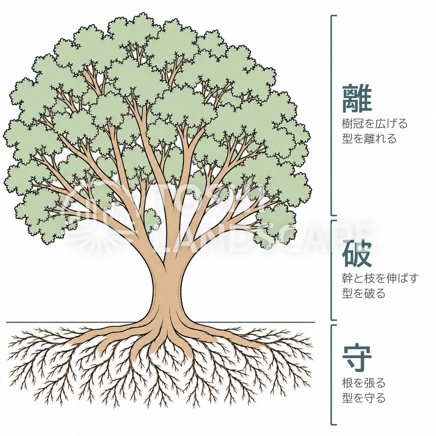 守破離 木 根 幹 枝 樹冠 たとえ 型を守る 型を破る 型を離れる