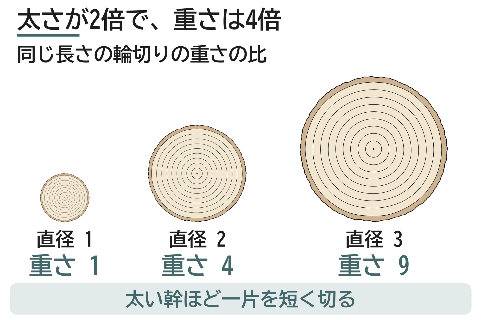 輪切り 太さ 重さ 比 直径 2乗 吊り降ろし 一片 小さく切る