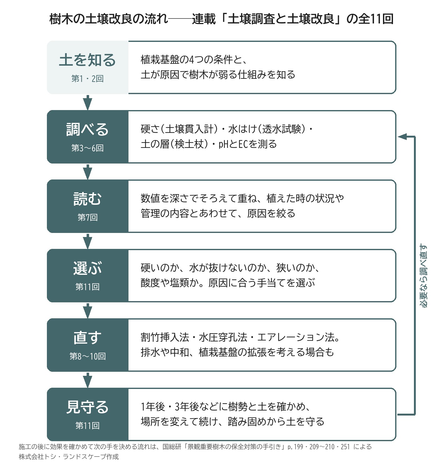 樹木の土壌改良 流れ 土壌調査 調べる 選ぶ 直す 見守る 図