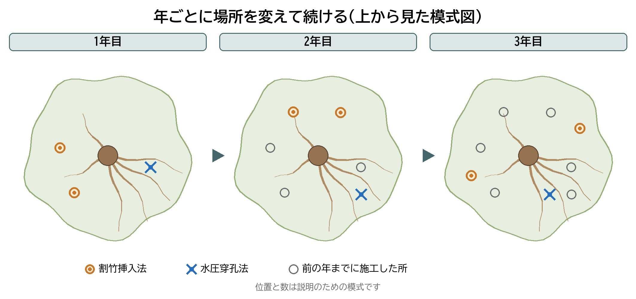 土壌改良 ローテーション 割竹挿入法 水圧穿孔法 毎年