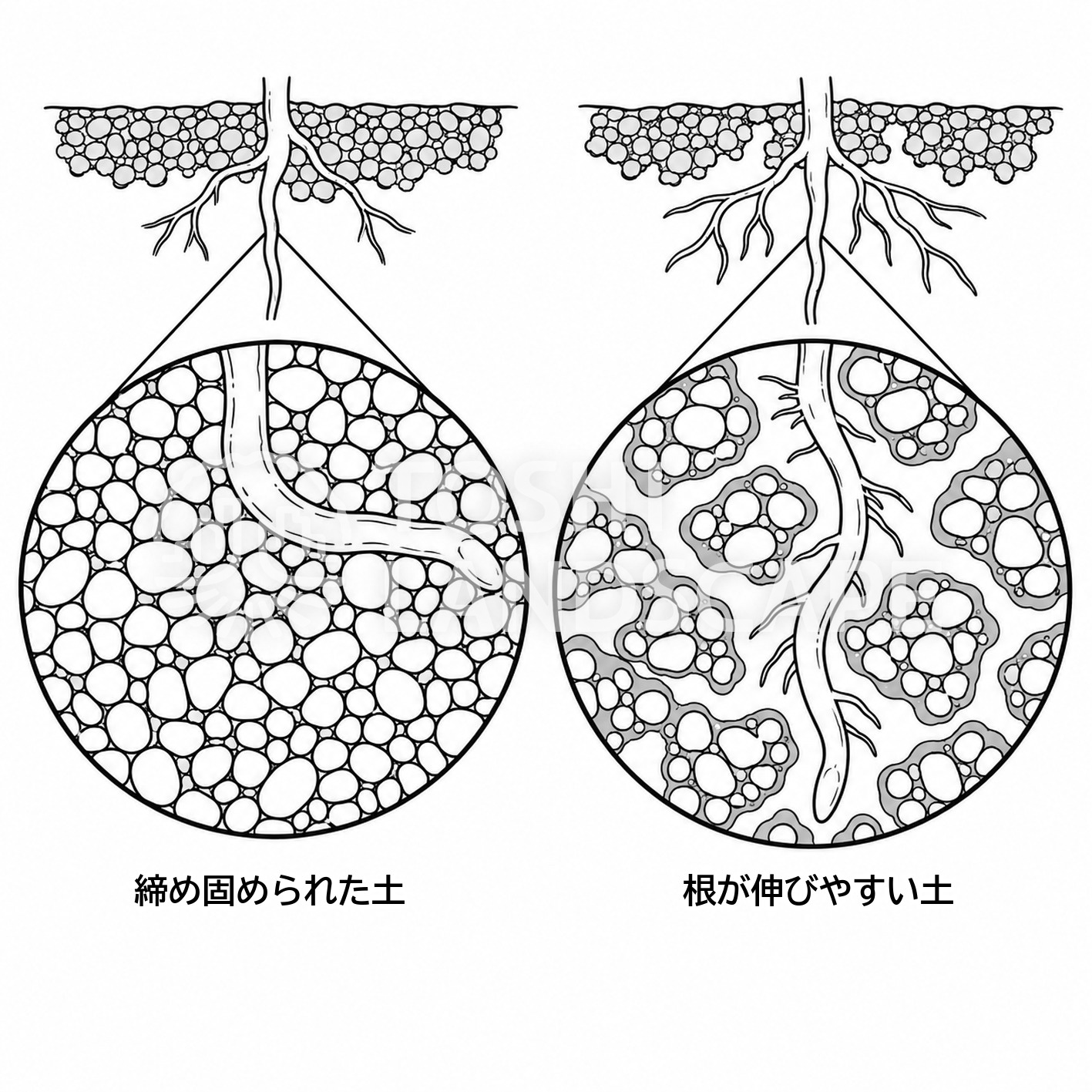 土壌 物理性 三相組成 固相 液相 気相 締め固め 根 イラスト