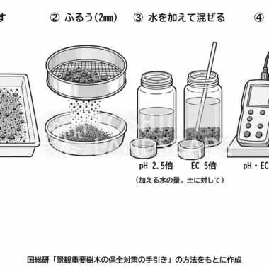 土壌 pH EC 測定 手順 風乾細土 ふるい 水 2.5倍 5倍 イラスト