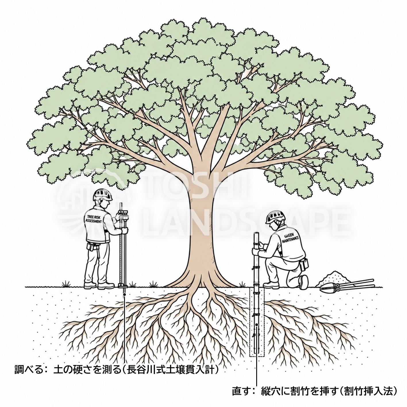 樹木の土壌改良 土壌調査 長谷川式土壌貫入計 割竹挿入法 樹木医 イラスト