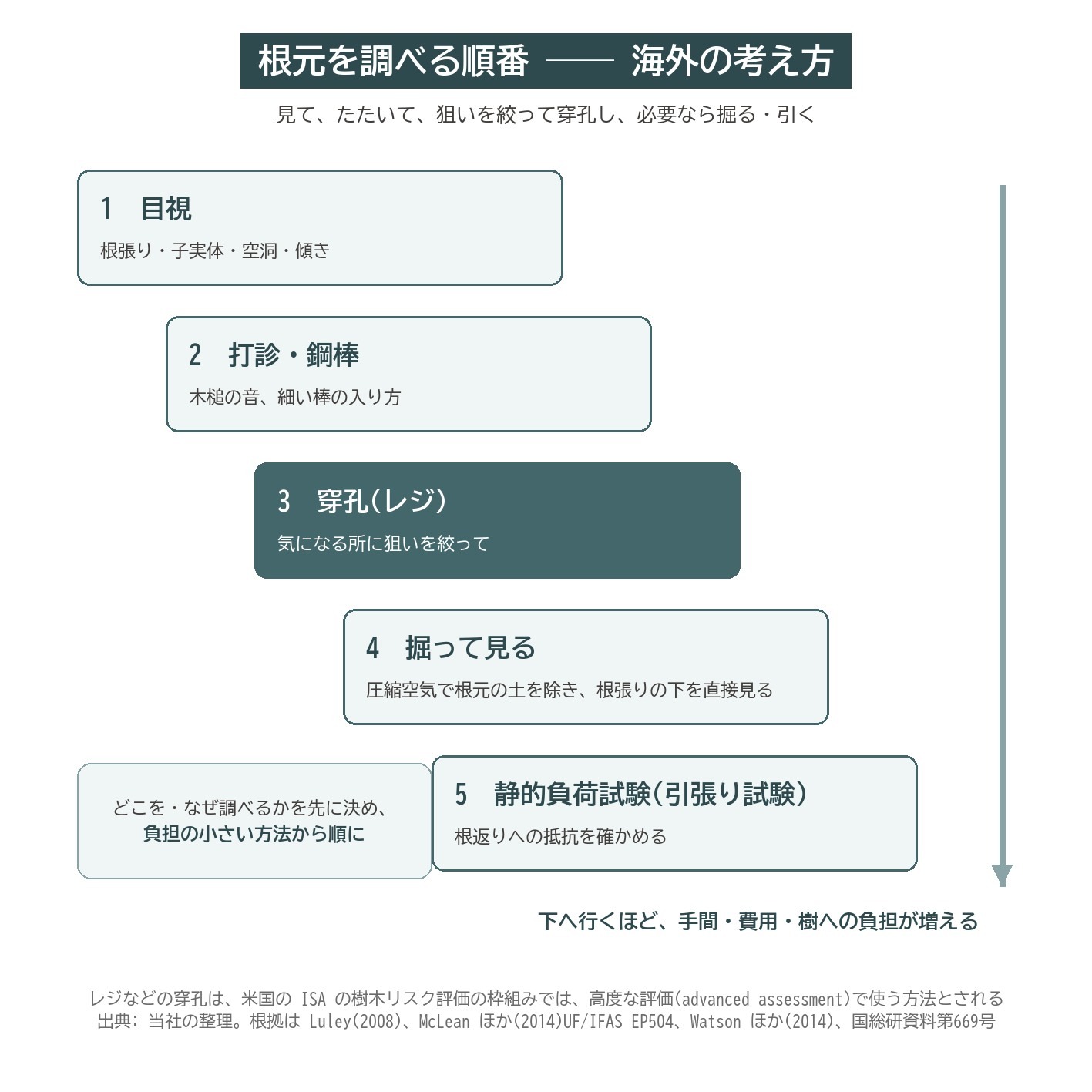 根元 調査 順番 目視 打診 穿孔 掘削 静的負荷試験 引張り試験 樹木リスク評価
