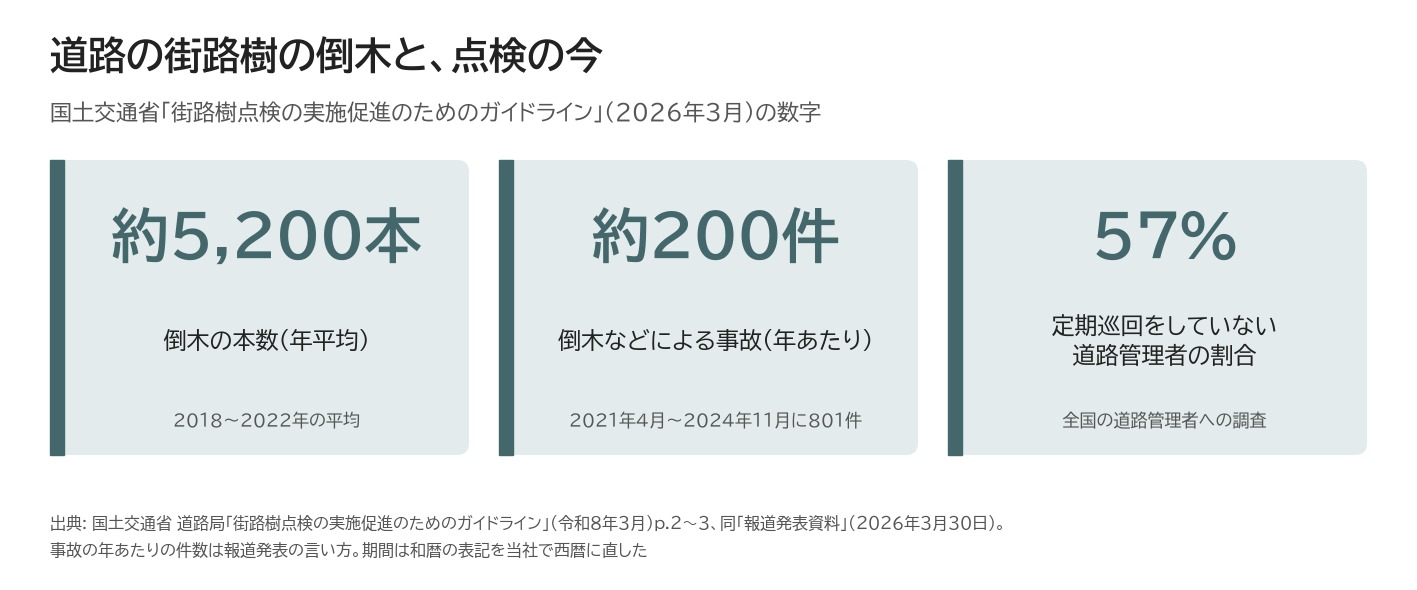 街路樹 倒木 事故 定期巡回 国土交通省