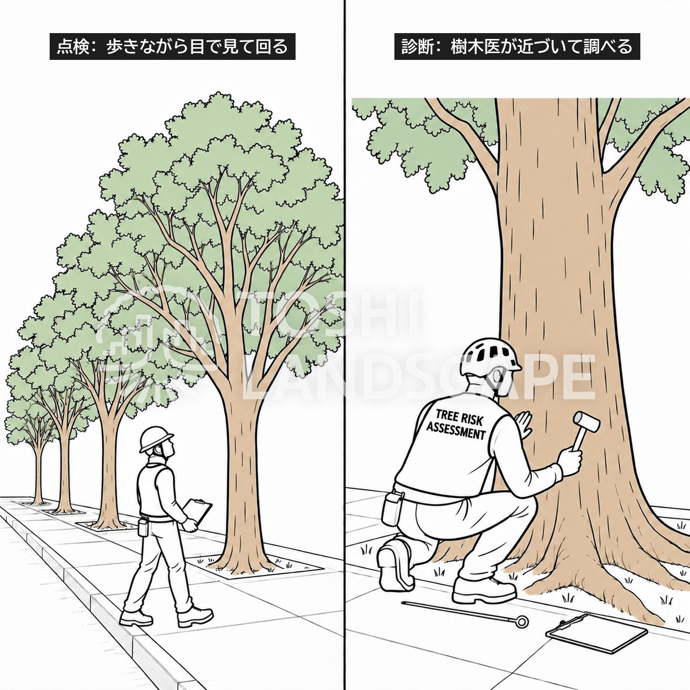 街路樹 点検 診断 違い 樹木点検 外観診断 木槌 打診 鋼棒 樹木医