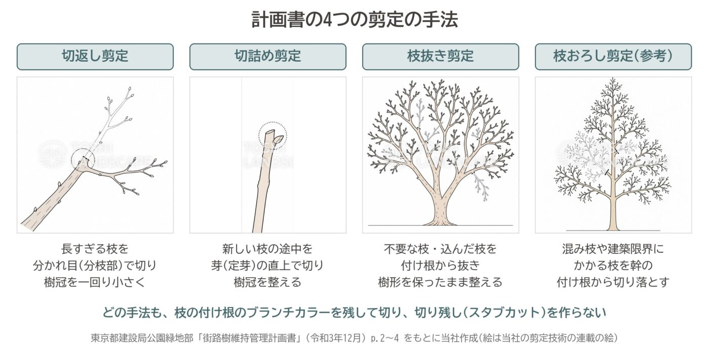 切返し剪定 切詰め剪定 枝抜き剪定 枝おろし剪定