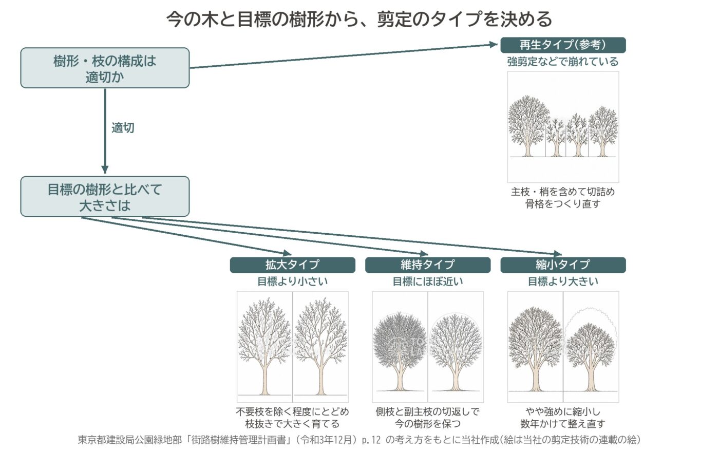 剪定 維持タイプ 縮小タイプ 拡大タイプ 再生タイプ