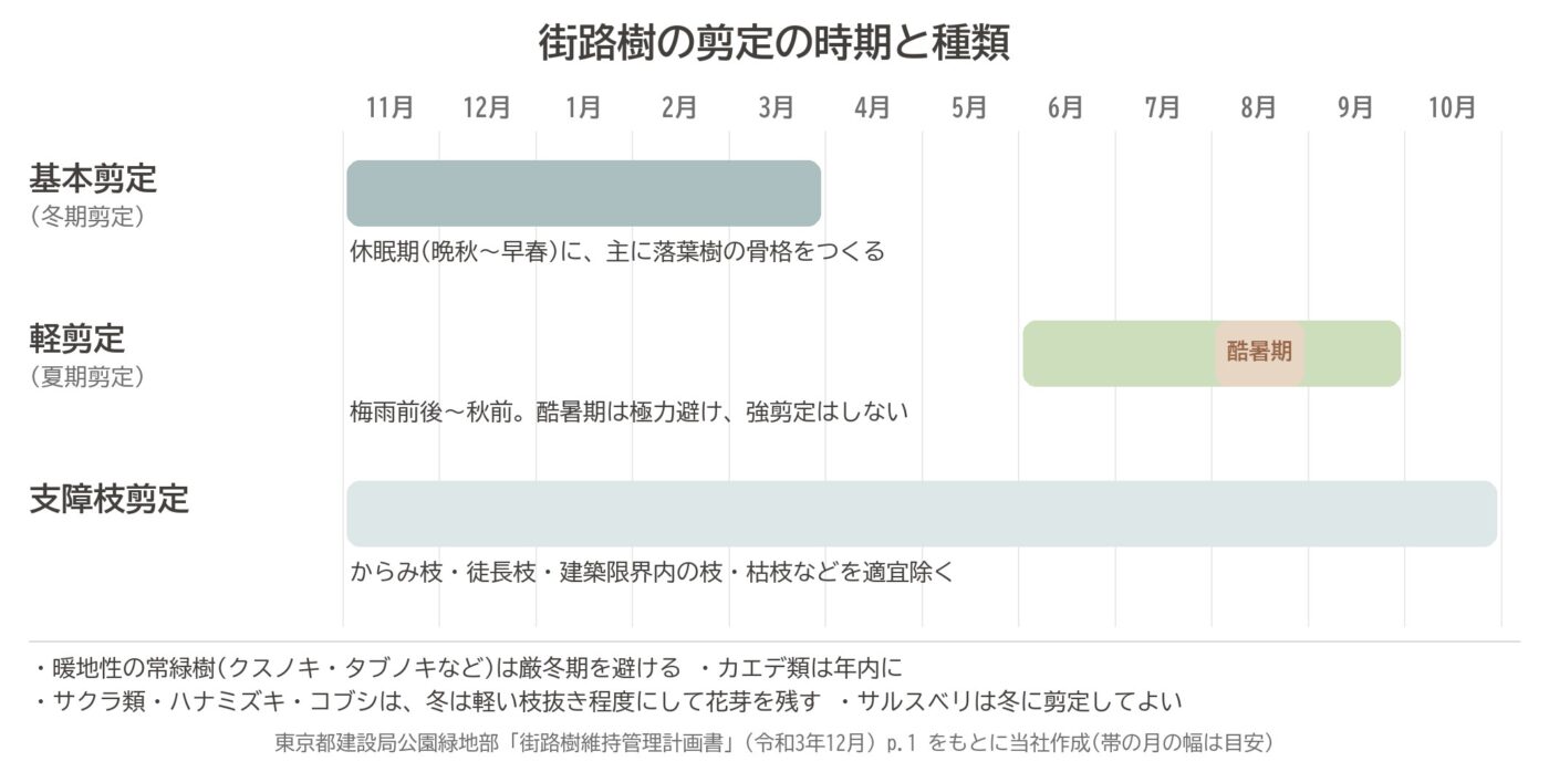 街路樹 剪定時期 基本剪定 軽剪定 支障枝剪定