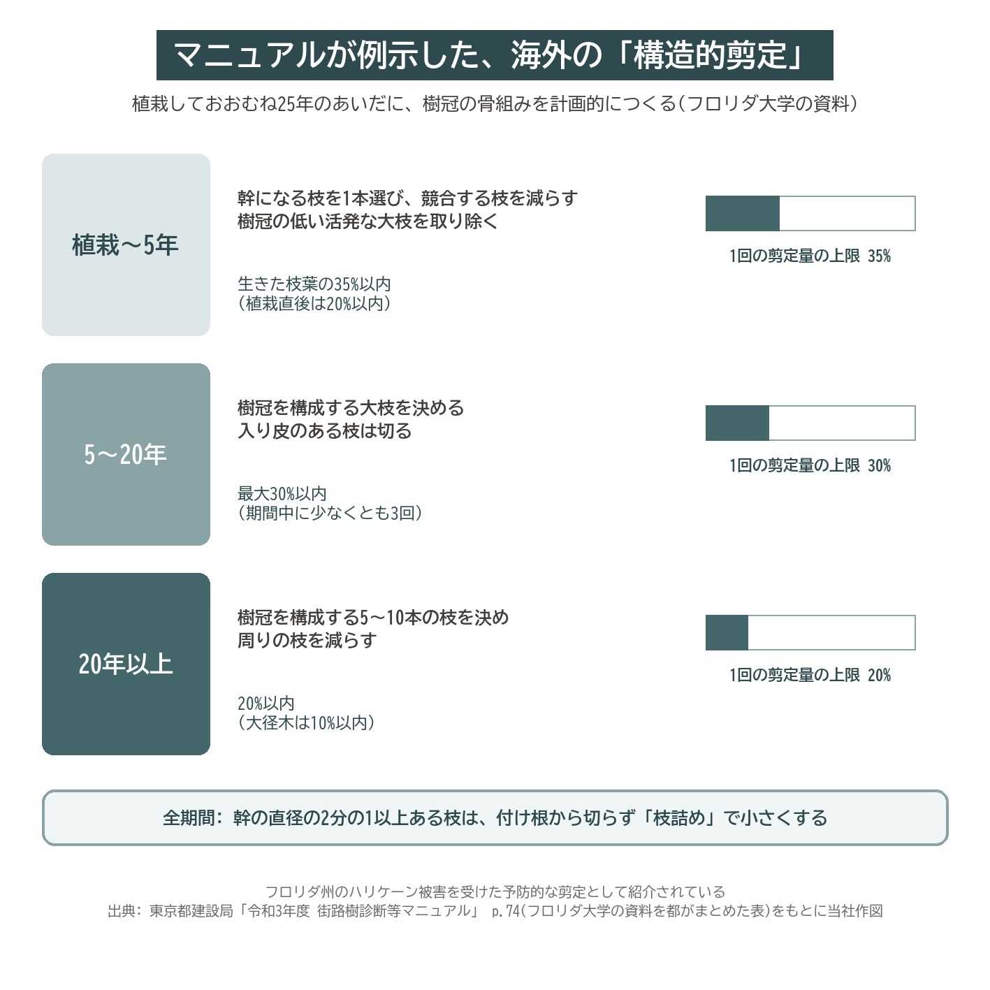 構造的剪定 フロリダ大学 剪定量 35% 30% 20% 枝詰め 若木 街路樹