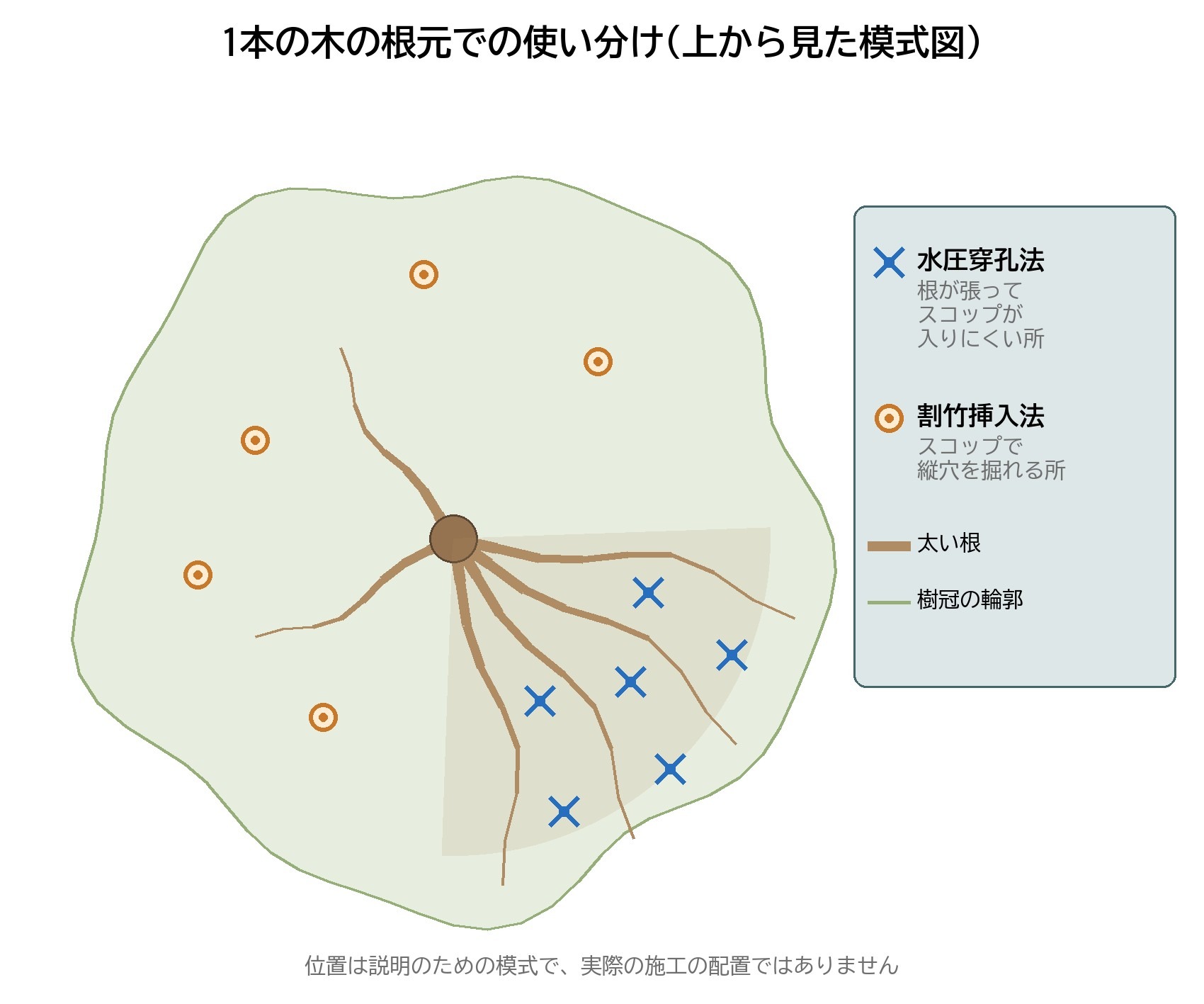 水圧穿孔法 割竹挿入法 使い分け 根 平面図 土壌改良