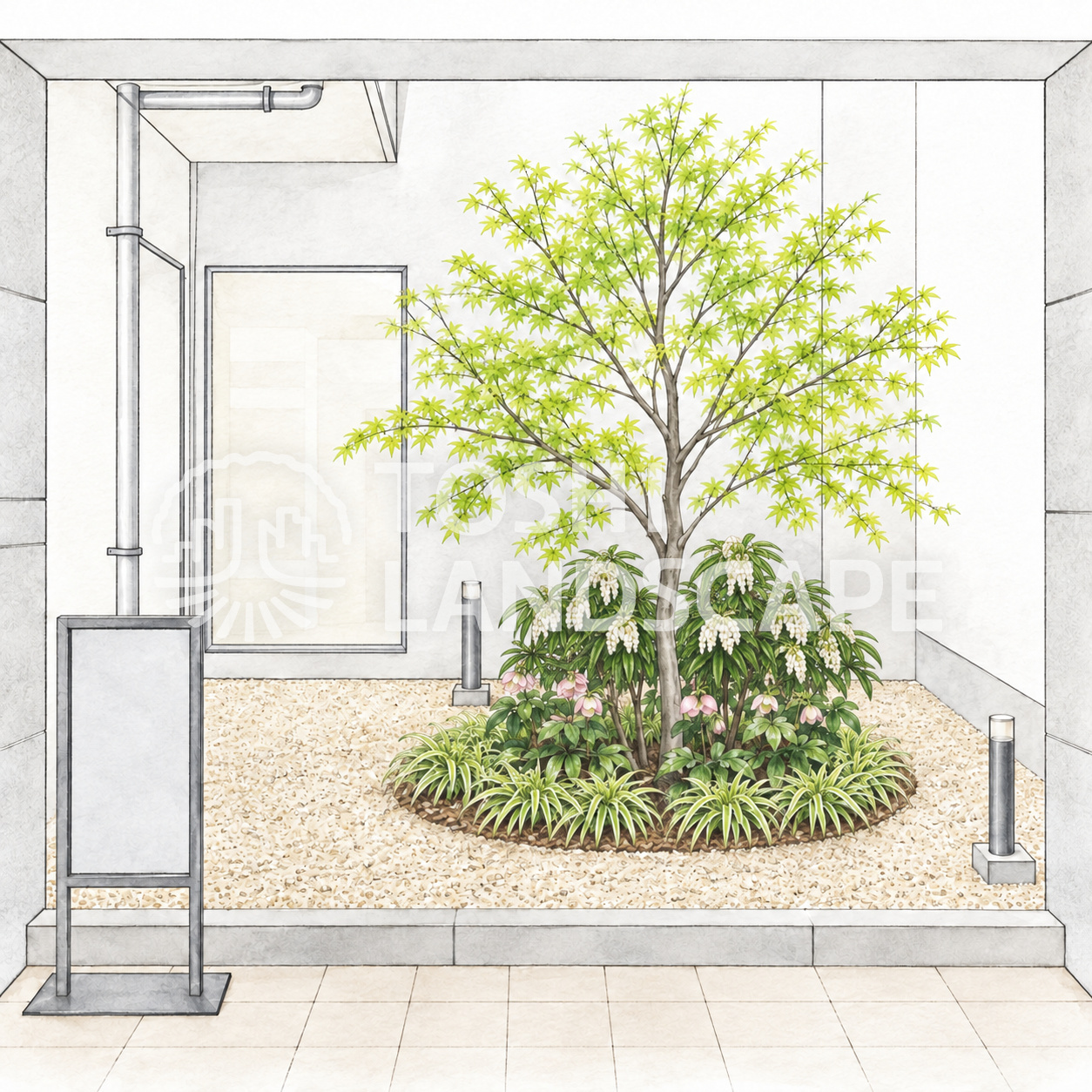 マンション 中庭 植栽リニューアル 完成予想スケッチ イロハモミジ アセビ クリスマスローズ 斑入りヤブラン 伊勢砂利 墨田区