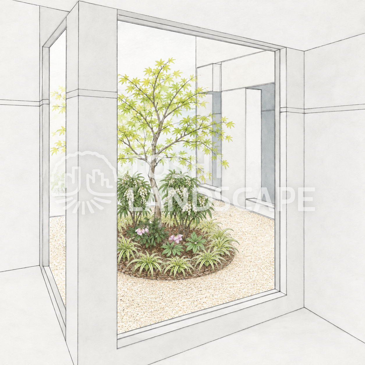 マンション 中庭 植栽リニューアル 完成予想スケッチ 窓ごし イロハモミジ アセビ 斑入りヤブラン 墨田区
