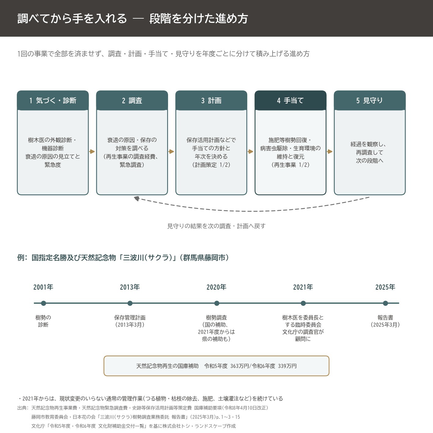 天然記念物 樹勢回復 調査 計画 三波川 サクラ 藤岡市 段階