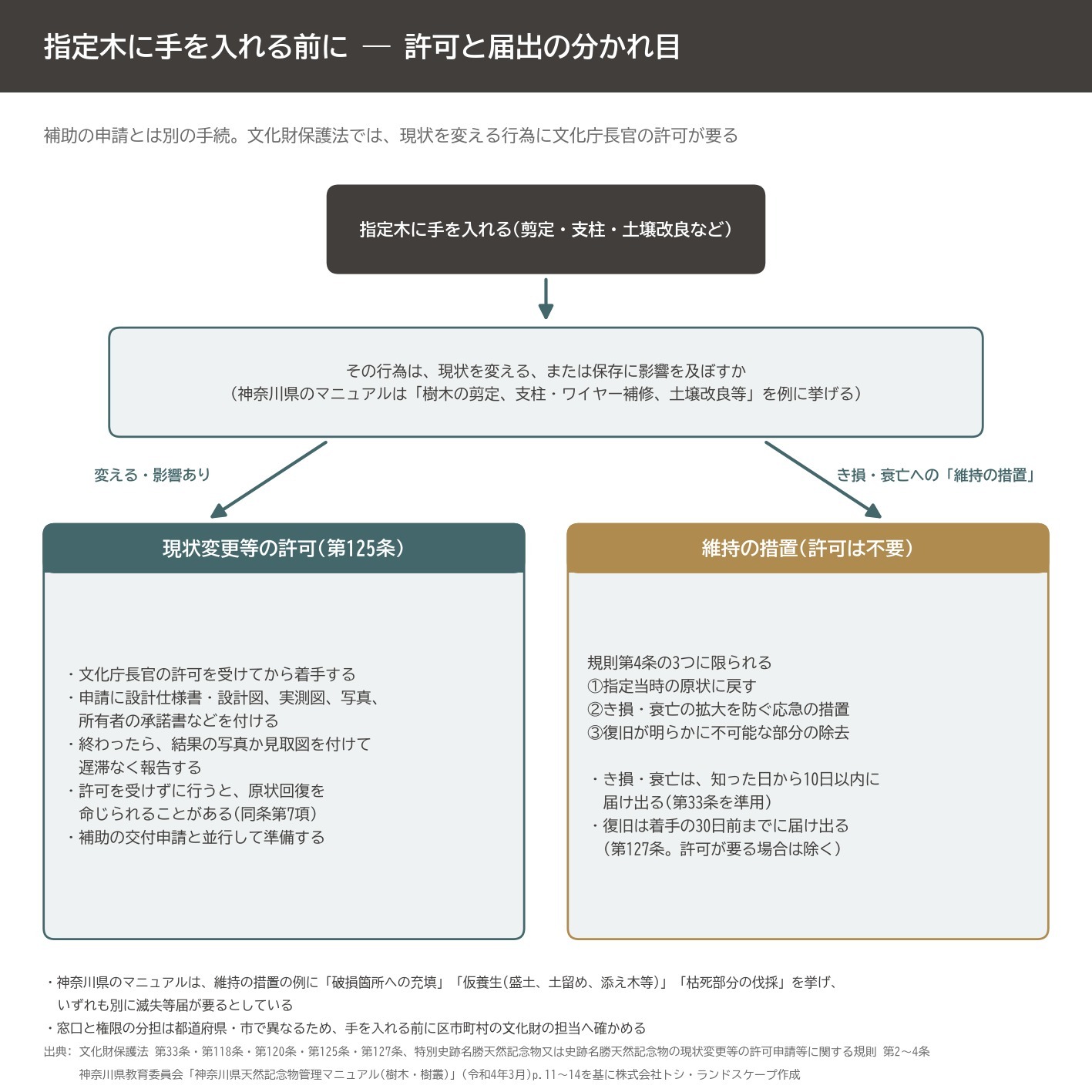 天然記念物 現状変更 許可 維持の措置 き損 届出 文化財保護法 樹木