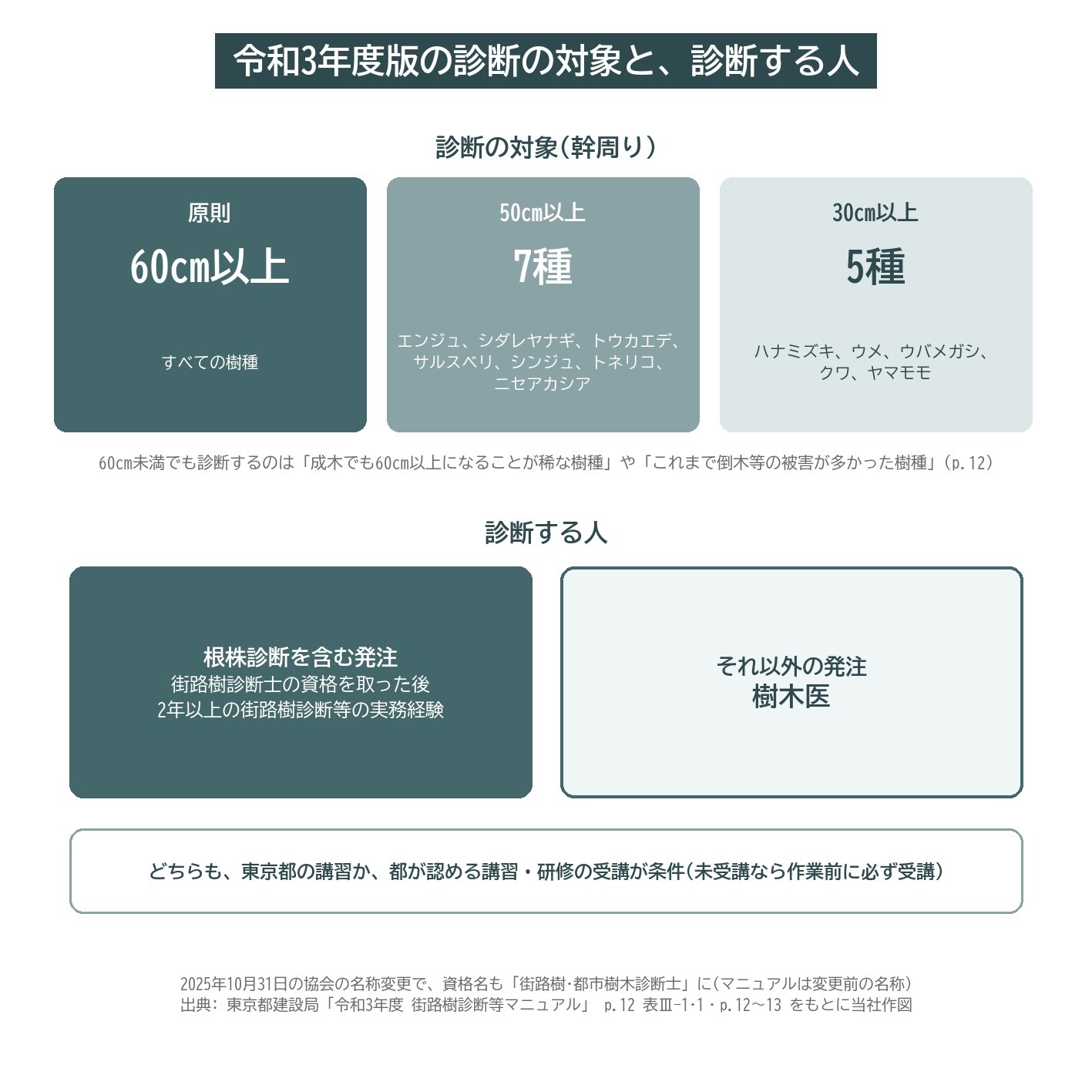 街路樹診断 対象 幹周60cm 50cm 30cm 樹種 診断者 樹木医 街路樹診断士 講習