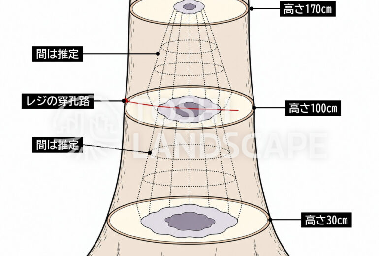 3D 断面 重ねる 高さ 腐朽 上下の広がり 推定 穿孔路 レジ 図解