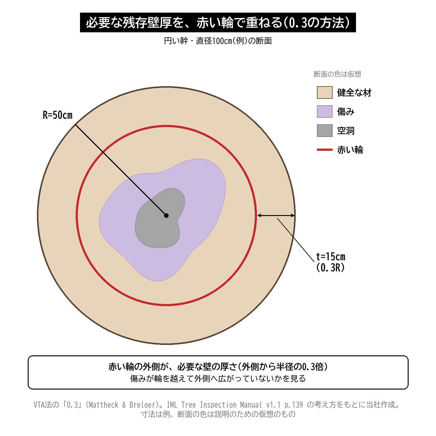 残存壁厚 t/R 0.3 断面 赤い輪 VTA 樹木診断 図解