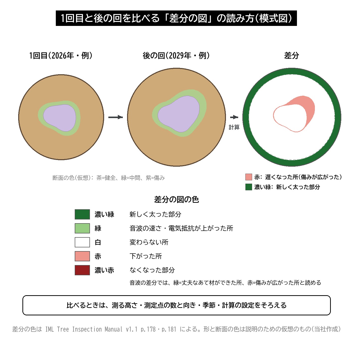 経年比較 差分 断面画像 緑 赤 白 変化 樹木診断 図解
