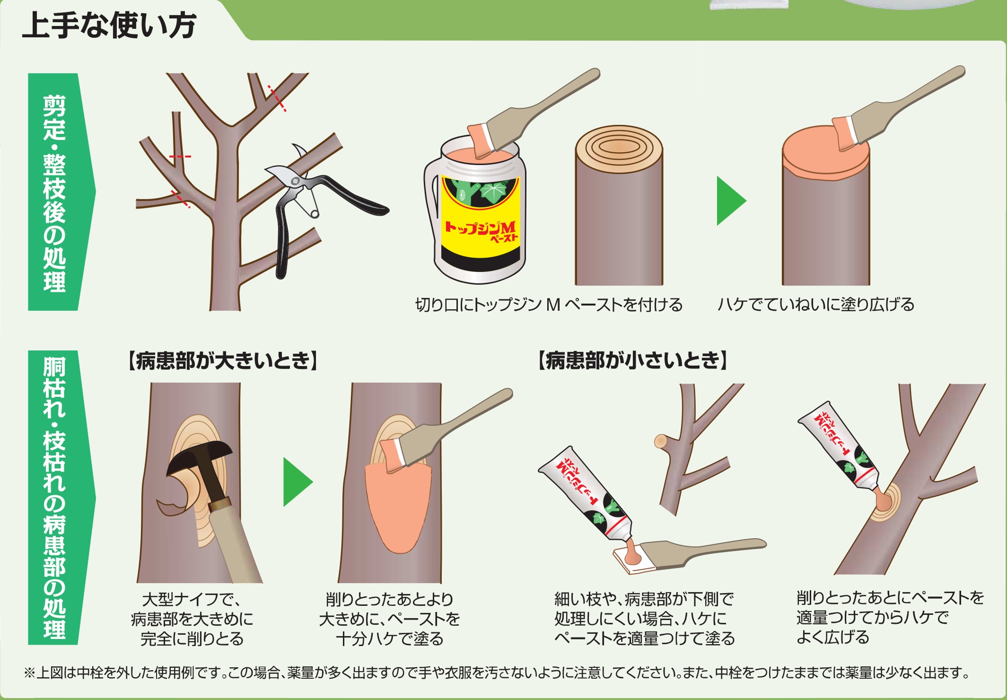 トップジンMペースト 使い方 剪定 切り口 塗り広げる 病患部 削り取り