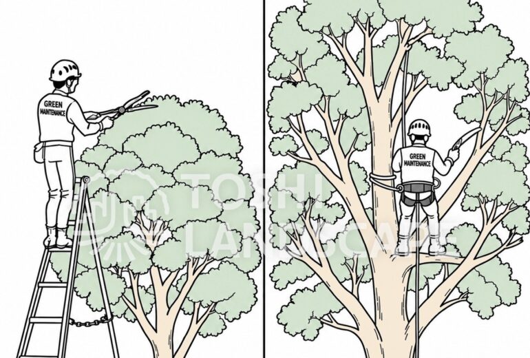 アーボリスト ツリークライミング 植木職人 三脚脚立 地下足袋 ハーネス ロープ 比較