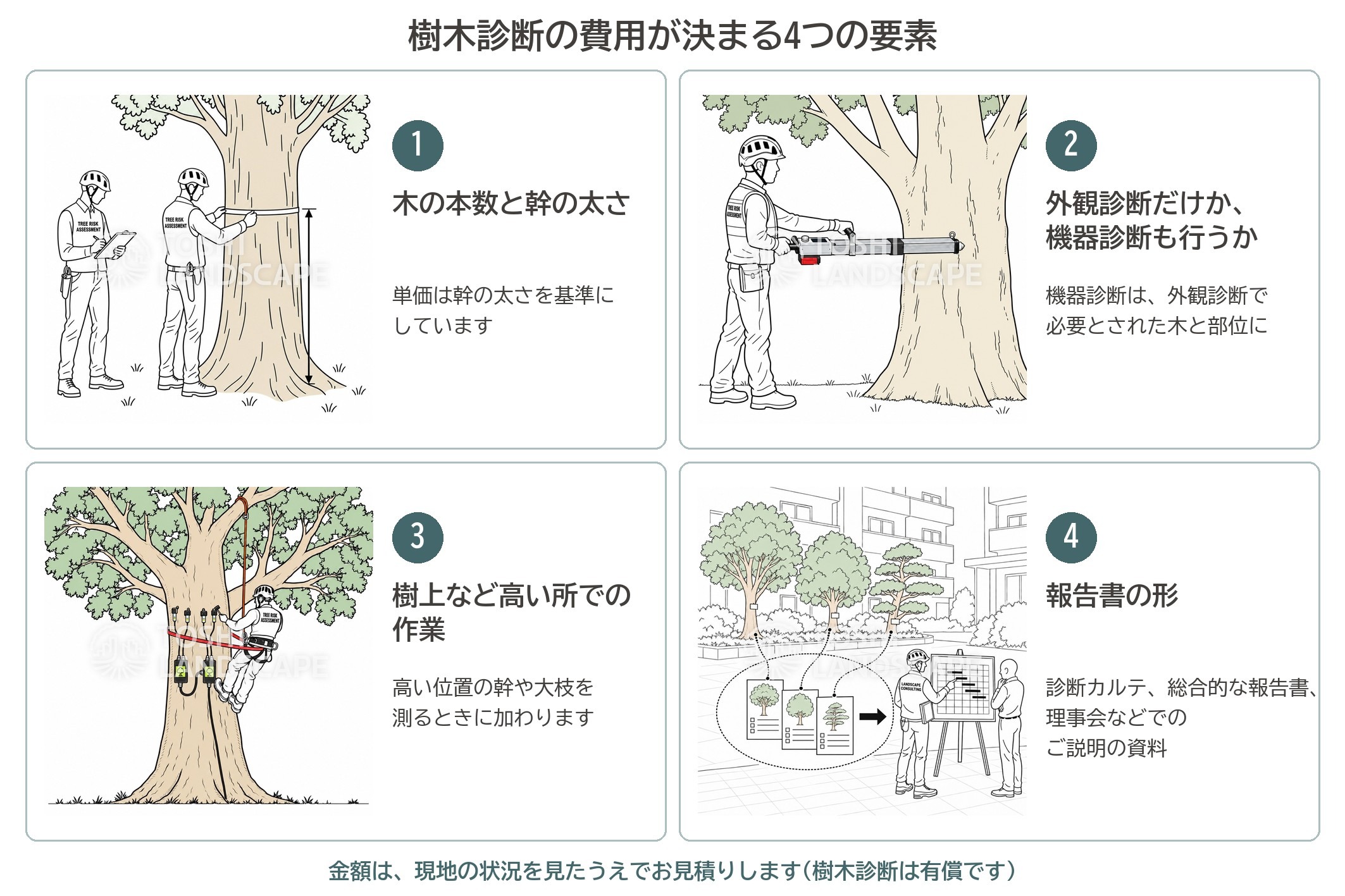 樹木診断 費用 要素 幹の太さ 機器診断 高所 報告書 樹木医