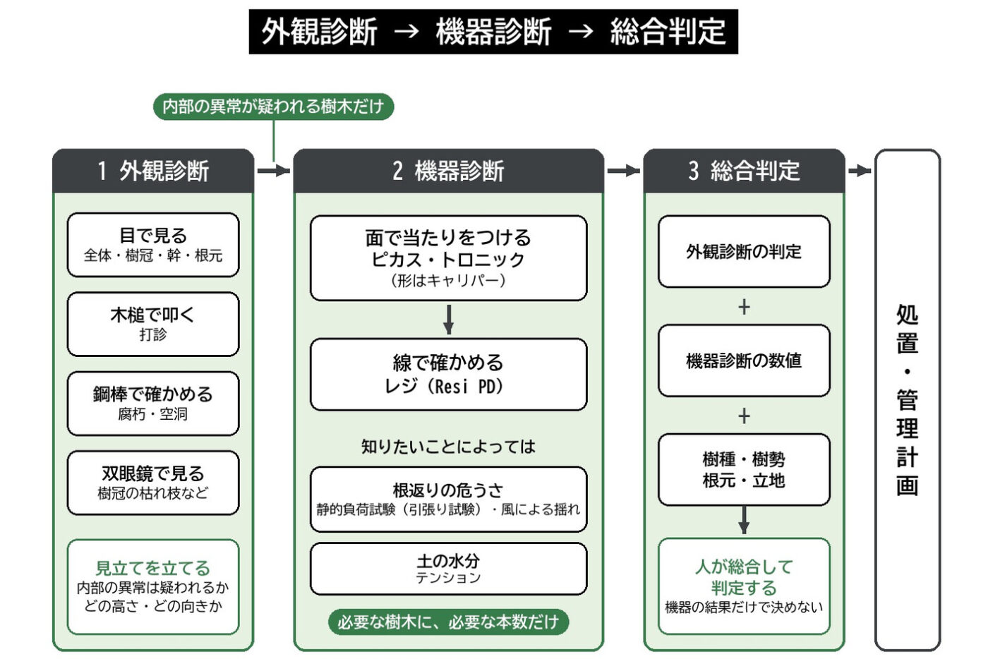 樹木診断機器 点検 校正 IML セミナー 外観診断 機器診断 総合判定 樹木医