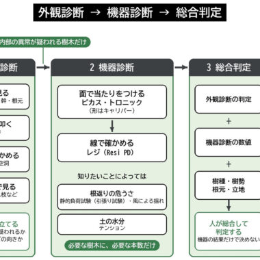 樹木診断機器 点検 校正 IML セミナー 外観診断 機器診断 総合判定 樹木医