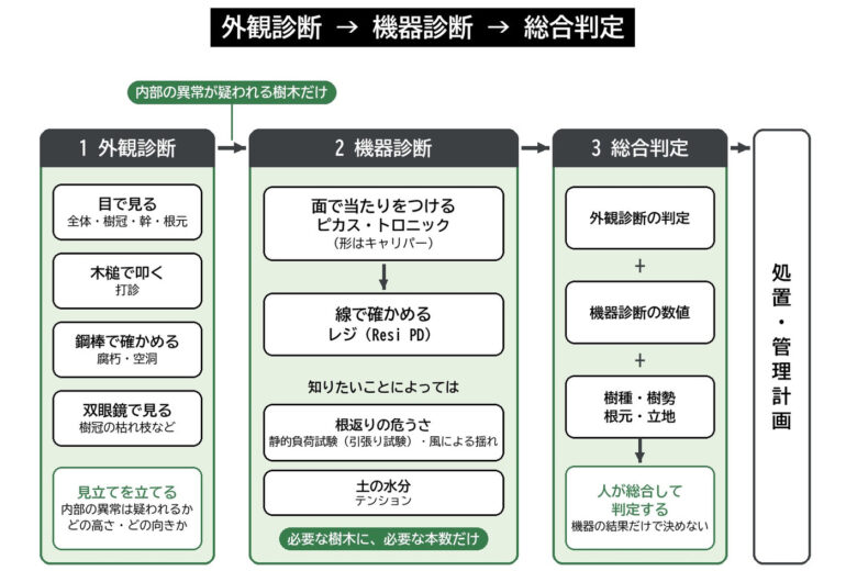樹木診断機器 点検 校正 IML セミナー 外観診断 機器診断 総合判定 樹木医