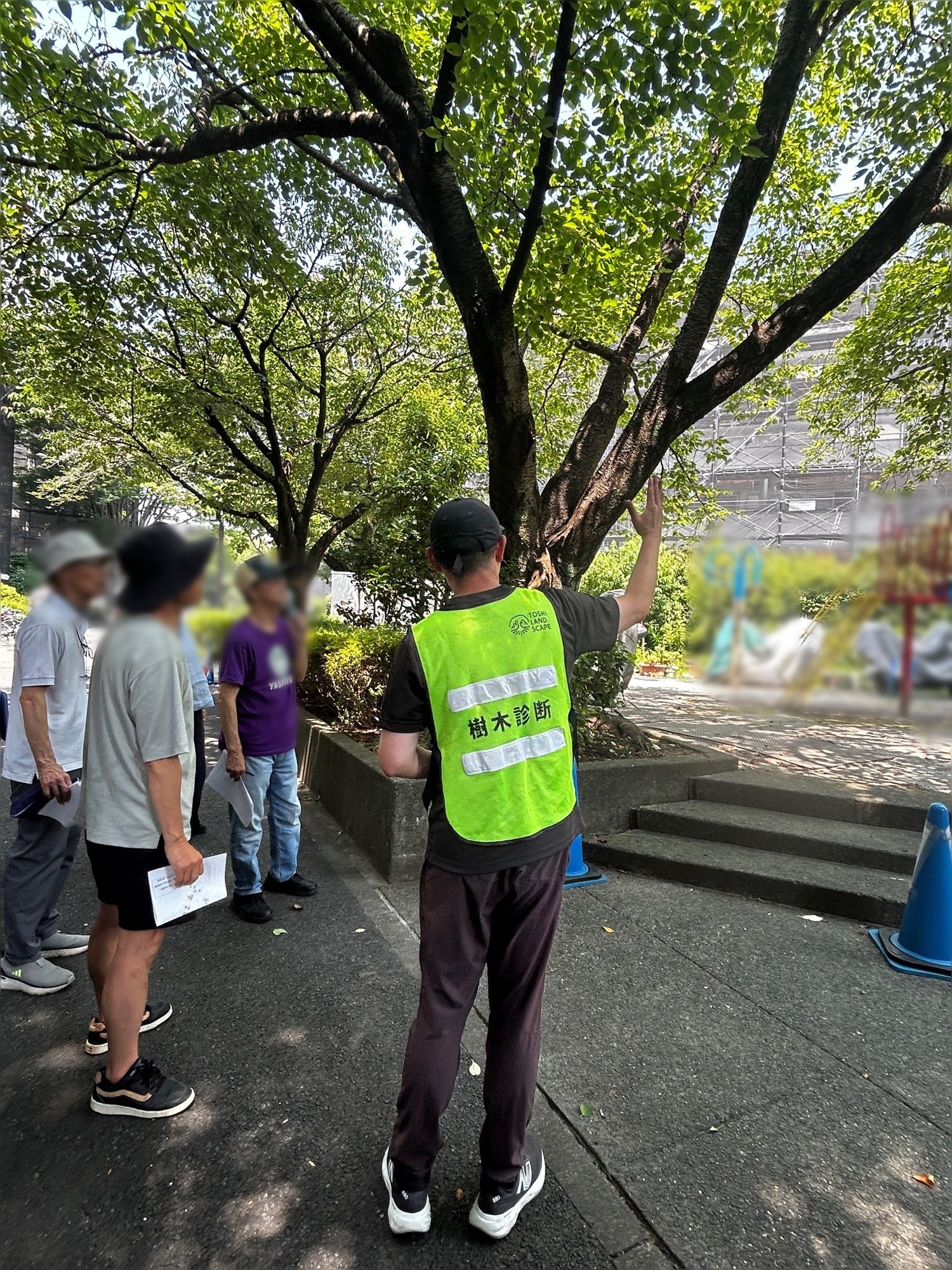住民説明 樹木診断 結果 樹木医
