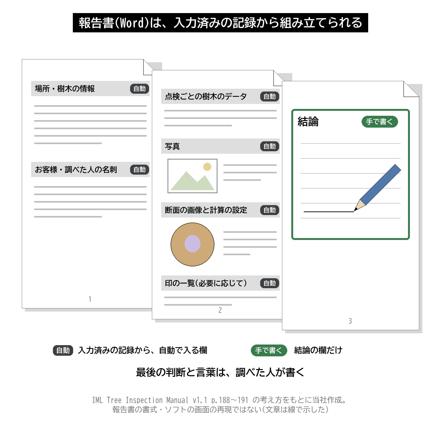 報告書 Word 自動作成 樹木の情報 写真 断面画像 結論 樹木診断 図解