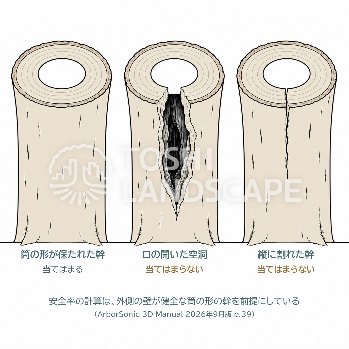 アーボソニック3D 安全率 前提 筒形の幹 開口空洞 亀裂 割れた幹 当てはまらない