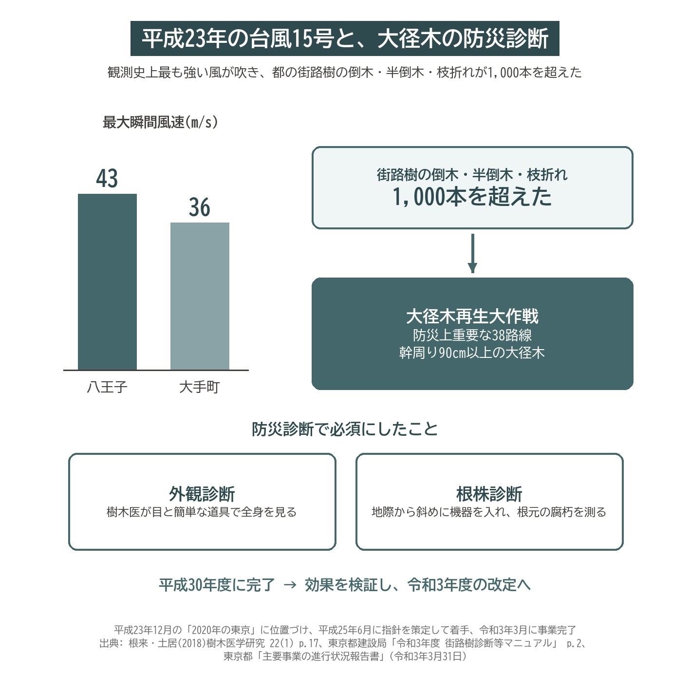 台風15号 2011 街路樹 倒木 大径木再生大作戦 防災診断 38路線 幹周90cm 根株診断