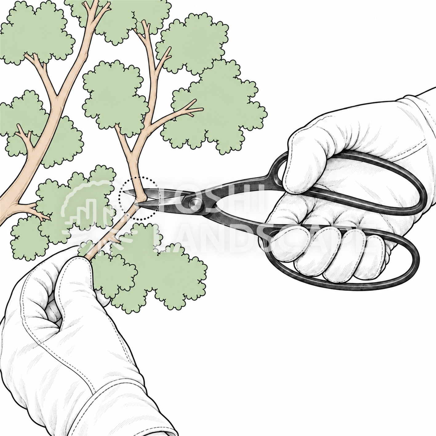 植木鋏 使い方 持ち方 小枝 付け根 切る 庭師 図解